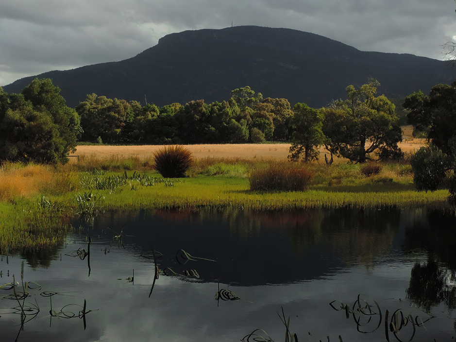 Snipe Swamp (4th pond) Redman Bluff Wetlands at Grampians Paradise Camping at Caravan Parkland Photo taken by Annamaria Ratki